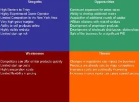 Soccer Store SWOT Analysis Plus Business Plan